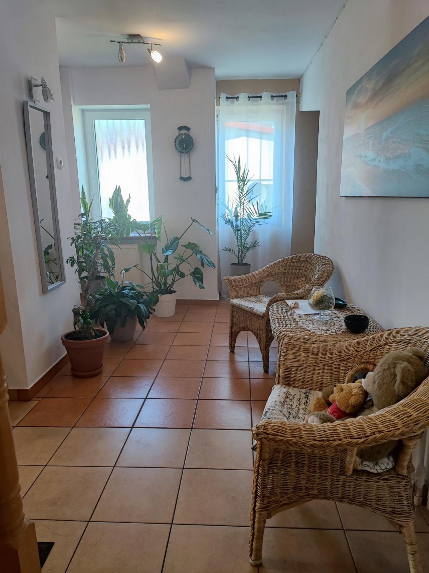 - Homestay